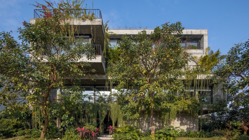 Meditation Office ，越南， ARO Studio