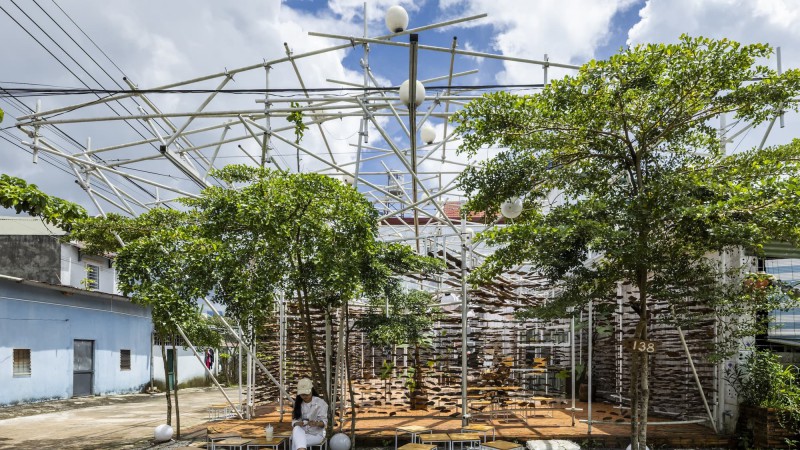 Pick Tea ，越南， The Bloom