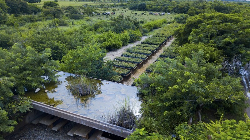 Guayacan 亭，墨西哥， Ambrosi I Etchegaray