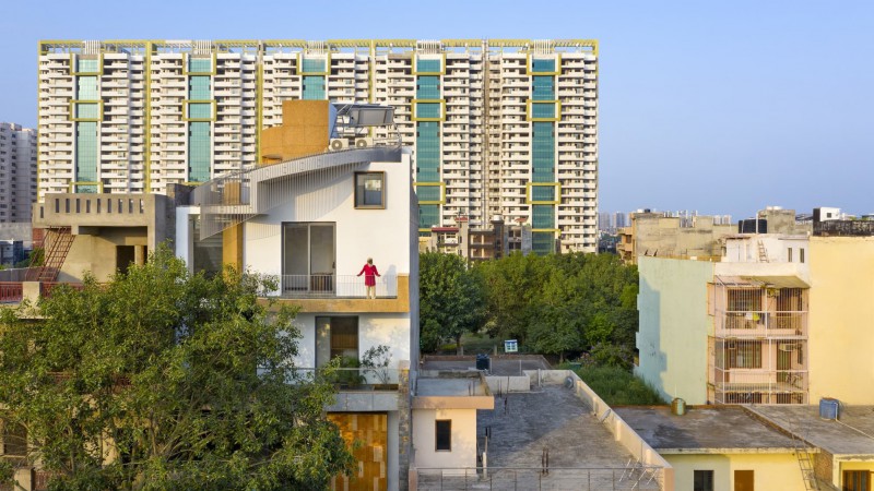 People Tree 之家，印度， Archiopteryx